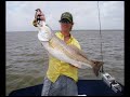 Speckled Trout, Redfish, & Tripletail-Summertime Texas Coast