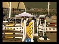 Laredo-Grand Prix Jumper for Sale