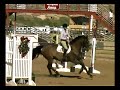Laredo-Grand Prix Jumper for Sale