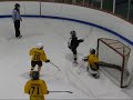 Flip-ital-canadian sports: wicked weaksauce goaltending