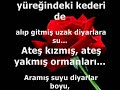 ate-ve-su.html