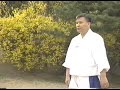 Taekkyon - defesas Taekkyon - defesas