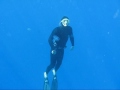 Freedive Fun New Fins.wmv