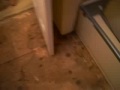 Installing Tile in a Bathroom 1