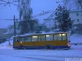 Vzpomínky na kalamitu Vzpomínky na kalamitu