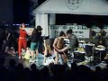 la presentation de la meute comme vous ne l avez pas vue sur dvd