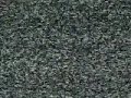 este video te hara soñar con la morsa