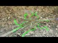 Milano Expo 2015 - Arpanet