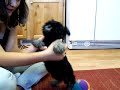 100_5143.mov