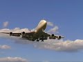 BOEING 747-446 Japan Airlines - JAL