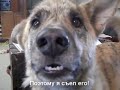 Разочарование