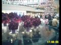 2009 HK Chritmas 圣诞节Celebration