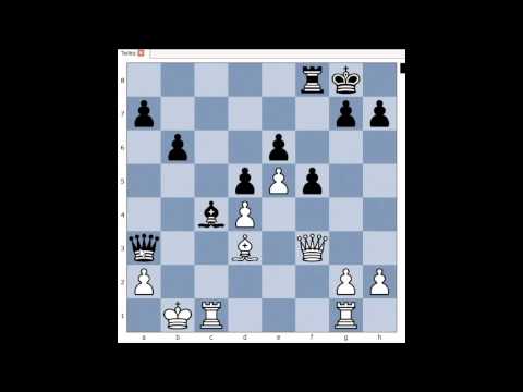 chess chess