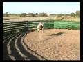 videos de Perkins / Ross - Bucking Bulls