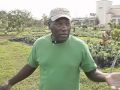Inner-City Garden Plants New Hope in Miami Neighborhood