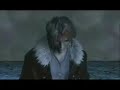 Mizerable AMV