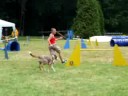 Viki és Lucky - jumping - Zeg, 2008.08.09.