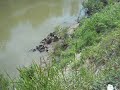 Click here to watch this video 1lb. H2 EXPLODING TARGET IN RIVER 1