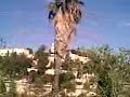 Mount Zion