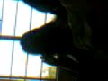 ii-2 Fin.Mgt. --before uwian :)