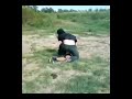 trailer Evadatul trailer film actiune parodie