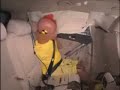 Crash Test 2009 Volkswagen Tiguan (Side Impact) IIHS