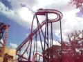 Sheikra Roller Coaster Ride at Busch Garden, Tampa