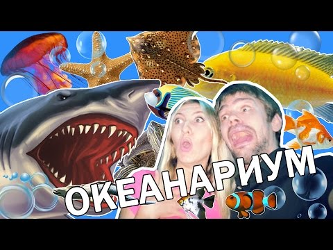 Фильмы про раскопки смотреть хорошем качестве