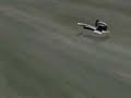 Blender: Ekranoplane animation -