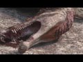 Spinosaurus Vs Carcharodontosaurus The Balance Of Power Planet Dinosaur