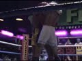 MUAY THAI IN MEXICO