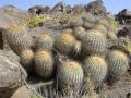 Antropolog�a, Arqueolog�a y Geociencias. ANTARGEO