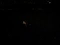 Crazy Drunk Girl Comes Back for an Encore and Falls one more time at Lady Gaga Toronto Concert