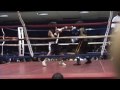 Zimmie contra James en el boxeo de Leonard del 
rayo del azúcar