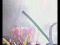 arrolladora intro 2