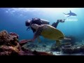 Seaventures Dive Resort