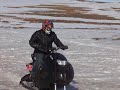 �slenskur snj�haukur