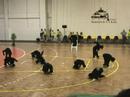 KinkySide Sarau ESAG