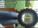 inside a gun scope