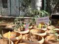 videos de Ecosan-Human urine as a fertilizer