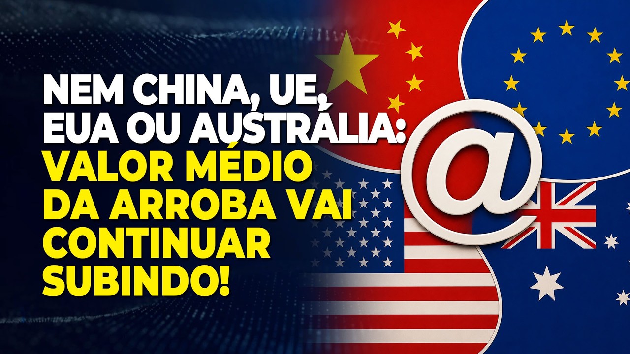 NEM CHINA, UE, EUA OU AUSTRÁLIA: VALOR MÉDIO DA ARROBA VAI CONTINUAR SUBINDO!