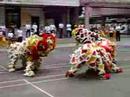 Lion Dance
