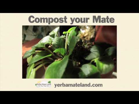 how to fertilize gourds