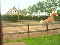 Janouk stuiterbal in vertraging