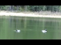Click here to watch this video Wincher Lake の光景