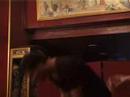 deux jeunes couples vont tourner autour du lit pendant une heure trente de rires, d'amours, de chansons et de sexe, avant de comprendre que leur amiti� est encore plus partag�e qu'ils ne l'imaginent.