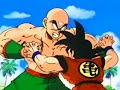Teinshinhan VS Son Goku Teinshinhan VS Son Goku
