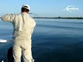 Tarpon fishing Cuba Tarpon fishing Cuba