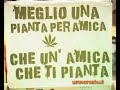 10meno9 fiera della canapa