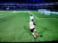 traumtor robin van persie  fifa 09